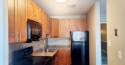 Large 1 Br Unit with walk in closet and new appliances