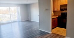 Large 1 Br Unit with walk in closet and new appliances