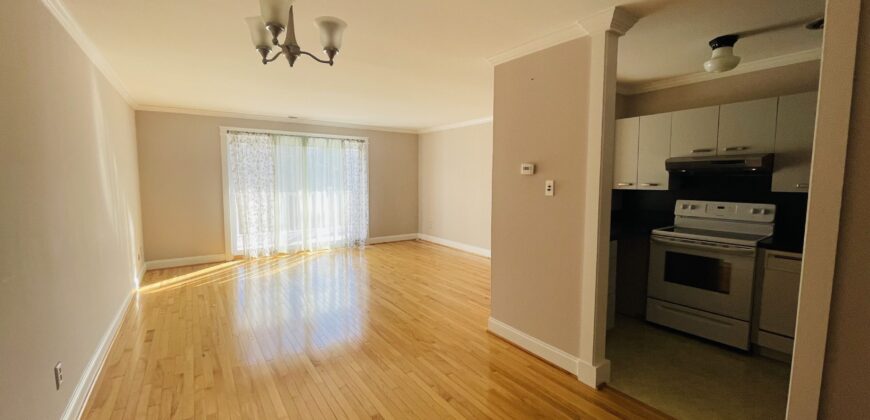 Large 1 Br Unit with walk in closet and new appliances