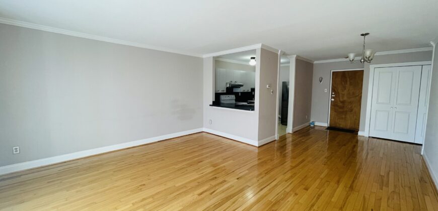 Large 1 Br Unit with walk in closet and new appliances