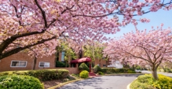 NEW – 2BR 2B, Clean, Specious, Great Location