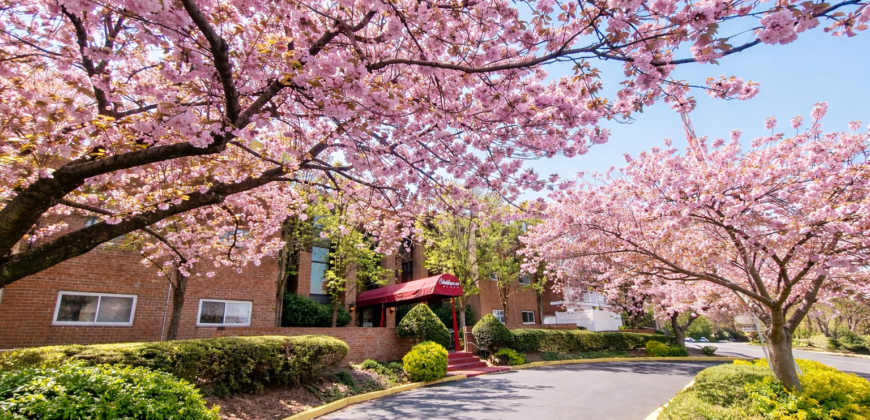 NEW – 2BR 2B, Clean, Specious, Great Location